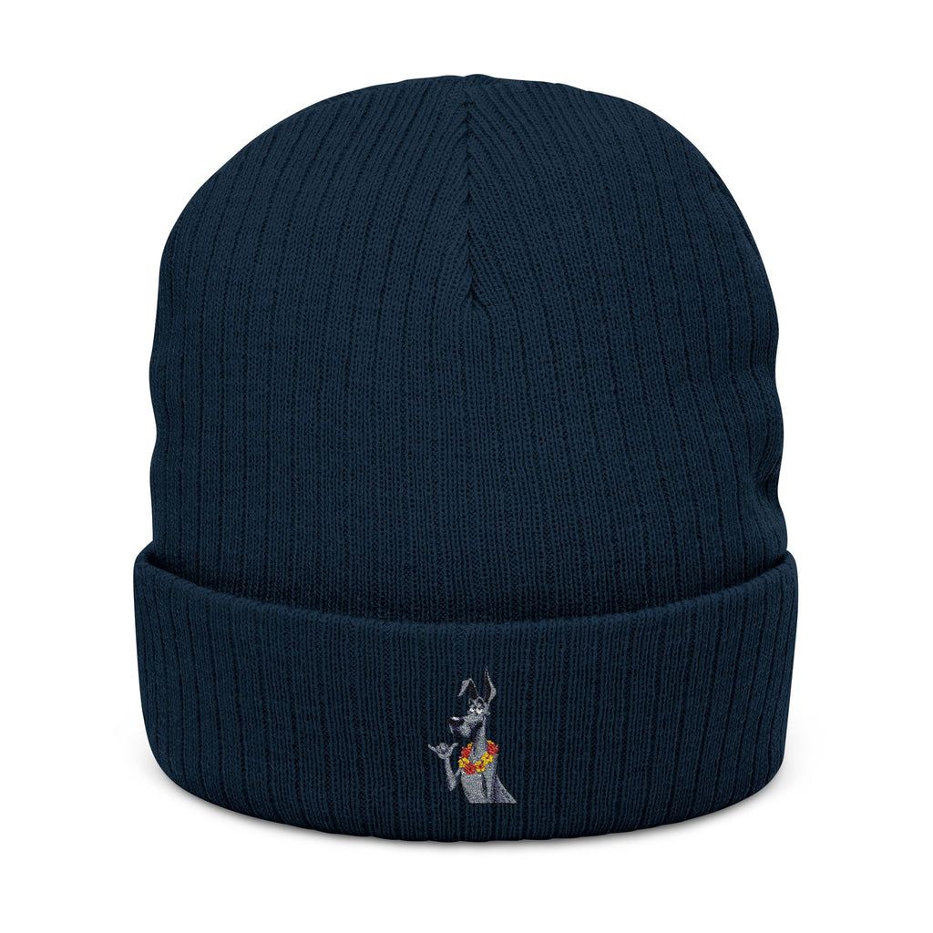 Copy of Dane – Thumbs Up Beanie // Classic Edition