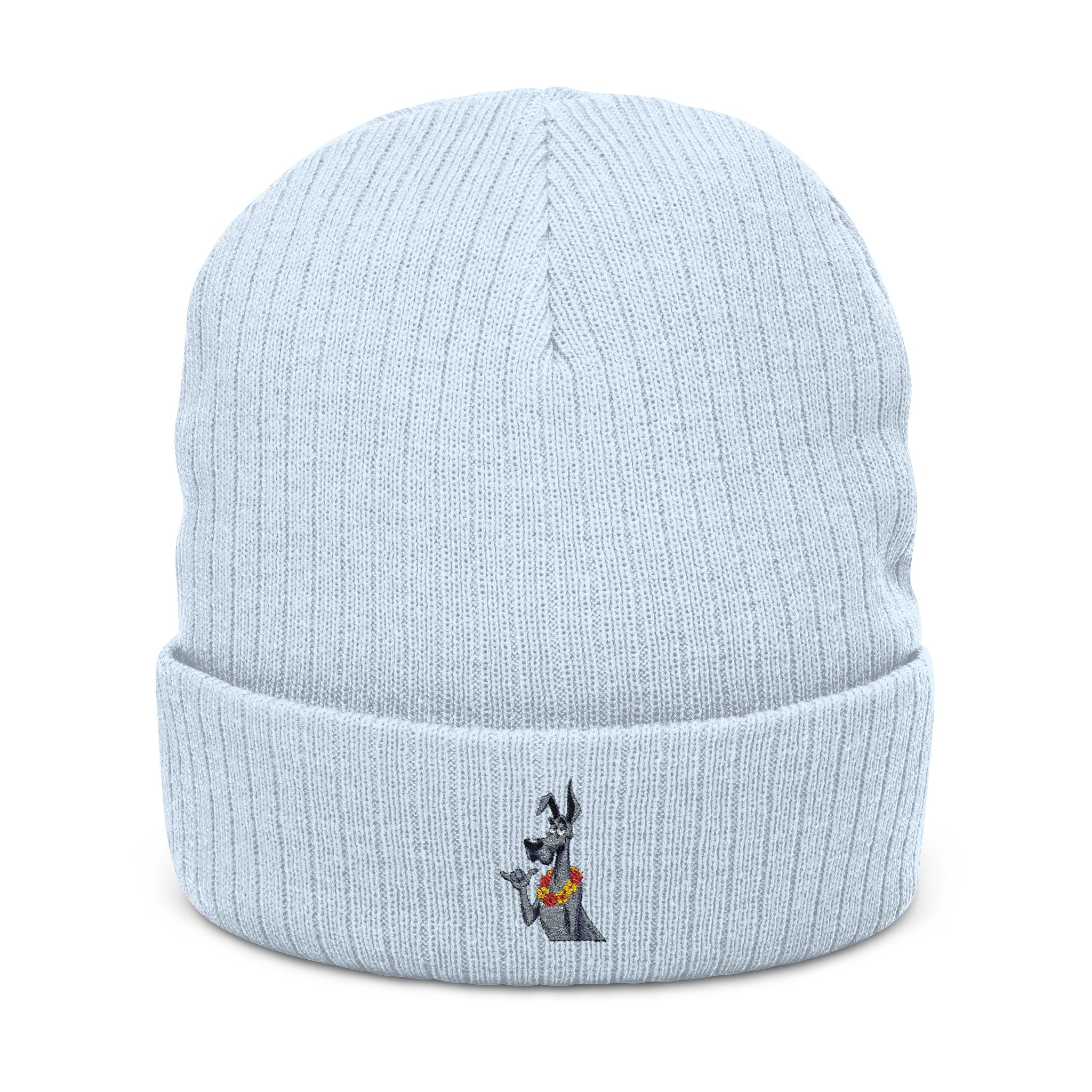 Copy of Dane – Thumbs Up Beanie // Classic Edition